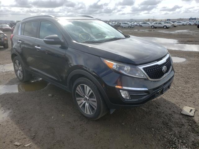 KIA SPORTAGE E 2014 kndpc3ac6e7631558