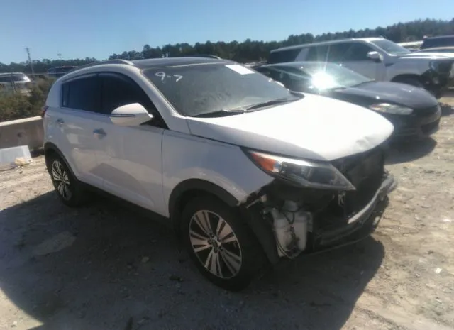 KIA SPORTAGE 2015 kndpc3ac7f7767120