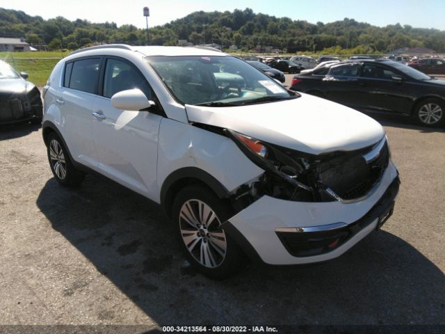 KIA SPORTAGE 2016 kndpc3ac7g7806385