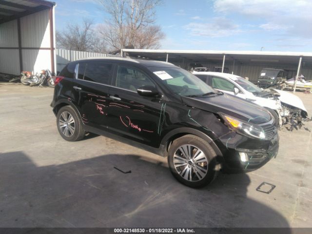 KIA SPORTAGE 2014 kndpc3ac8e7577146