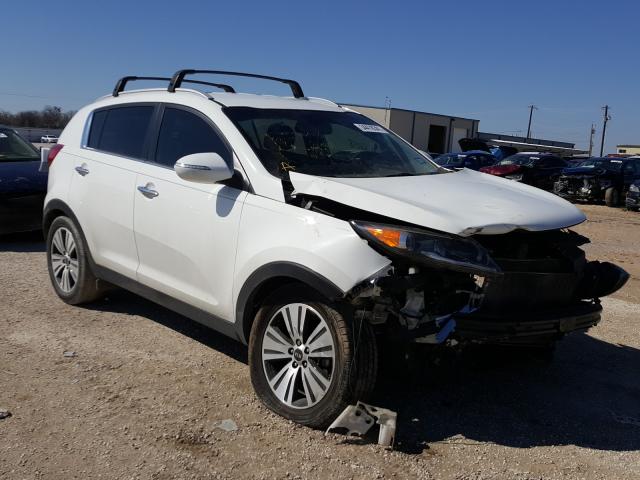 KIA SPORTAGE E 2015 kndpc3ac8f7727449