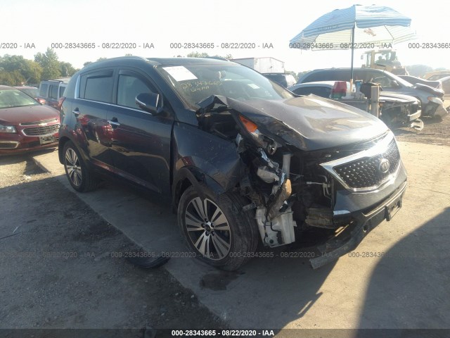 KIA SPORTAGE 2016 kndpc3ac8g7803589