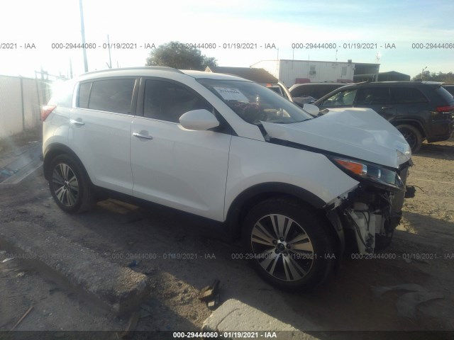 KIA SPORTAGE 2016 kndpc3ac8g7874775