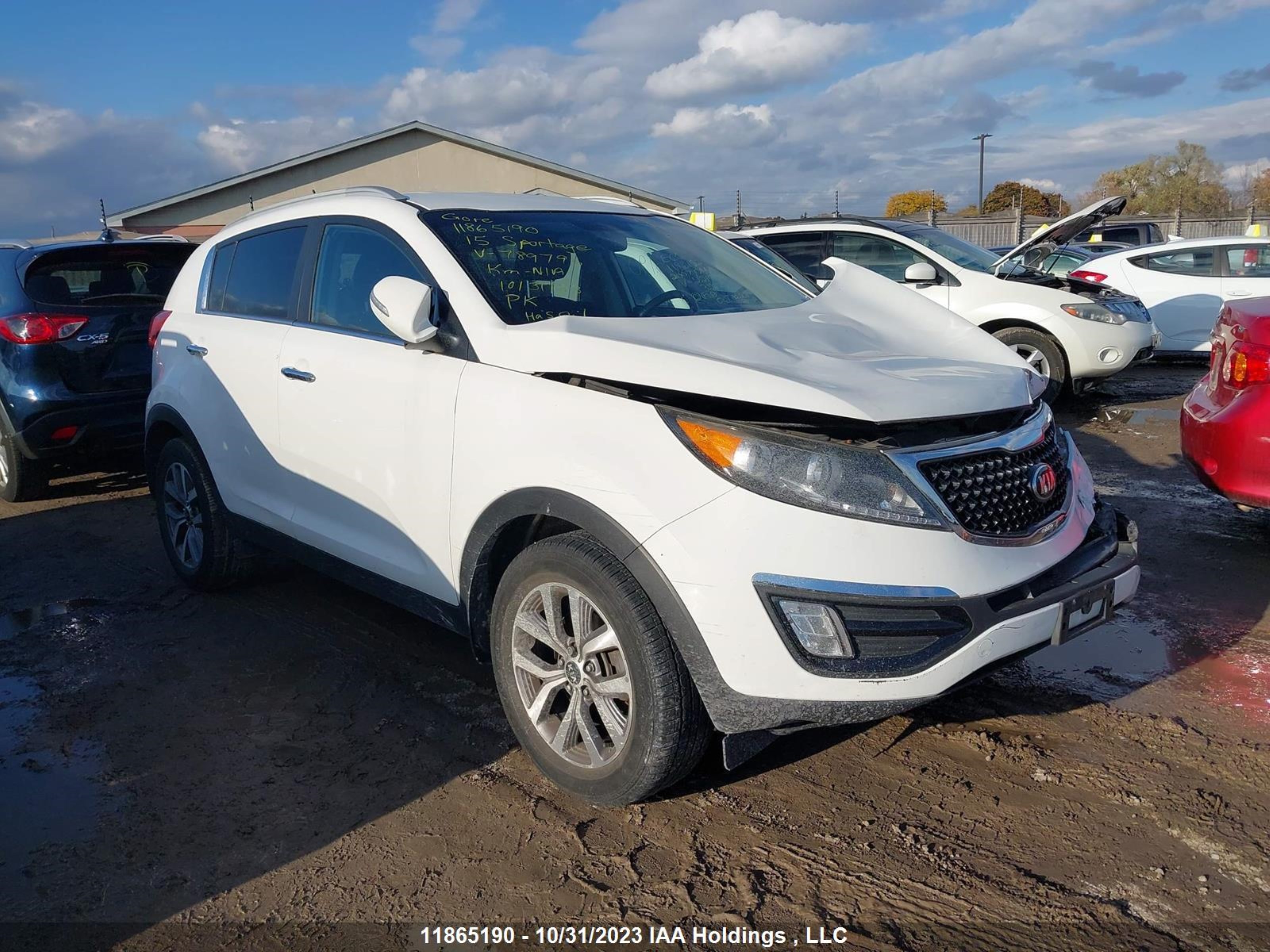 KIA SPORTAGE 2015 kndpc3ac9f7789796