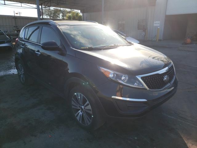 KIA SPORTAGE E 2016 kndpc3acxg7869853