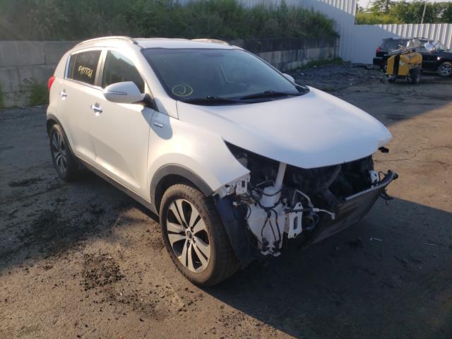 KIA SPORTAGE E 2011 kndpcca20b7084371