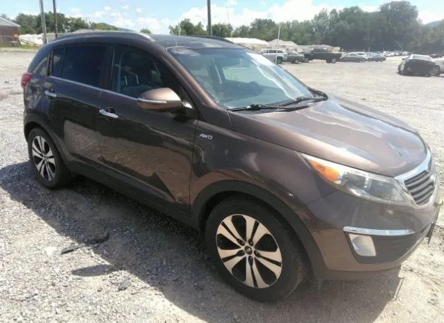 KIA SPORTAGE 2011 kndpcca22b7040176