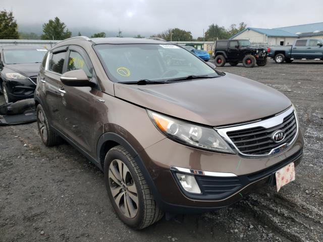 KIA SPORTAGE E 2011 kndpcca23b7022902