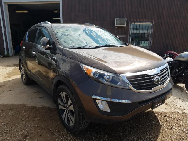 KIA SPORTAGE E 2011 kndpcca26b7076288