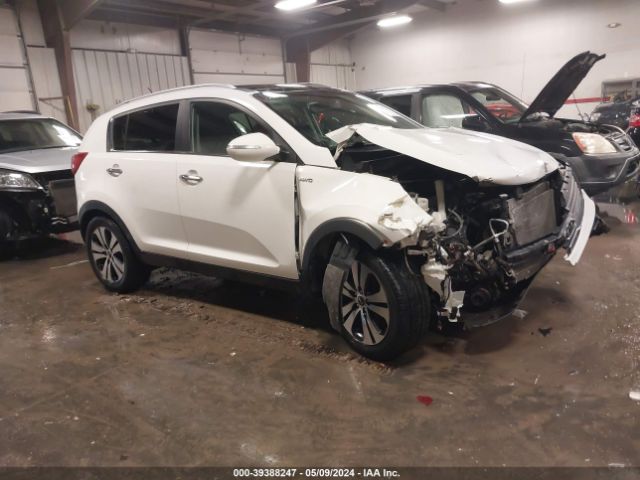 KIA SPORTAGE 2011 kndpcca26b7102548