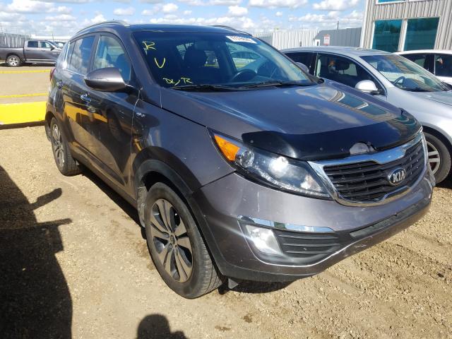 KIA SPORTAGE E 2013 kndpcca26d7489024