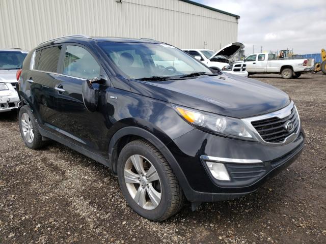 KIA SPORTAGE E 2011 kndpcca27b7030209