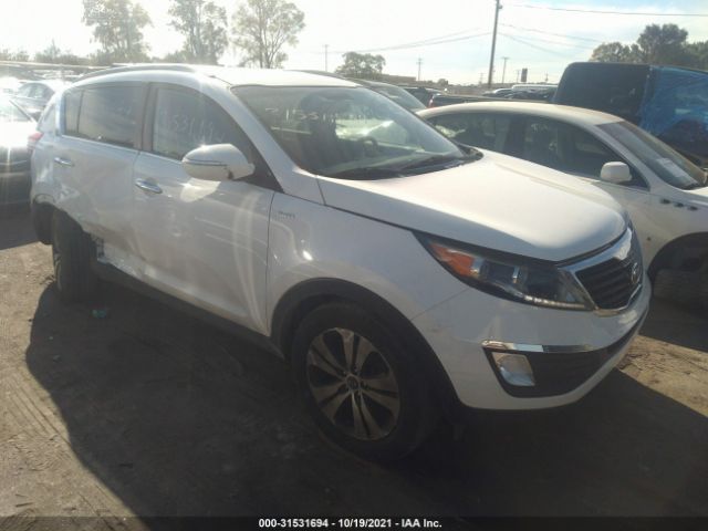 KIA SPORTAGE 2012 kndpcca28c7204676