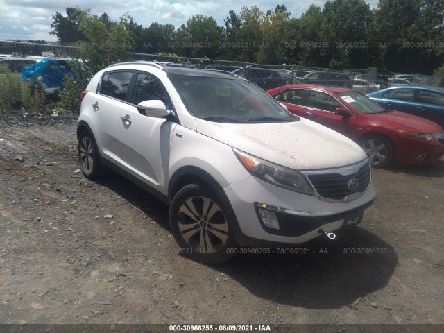 KIA SPORTAGE 2013 kndpcca29d7359173