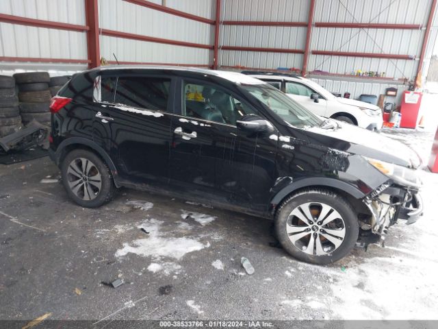 KIA SPORTAGE 2013 kndpcca29d7403883