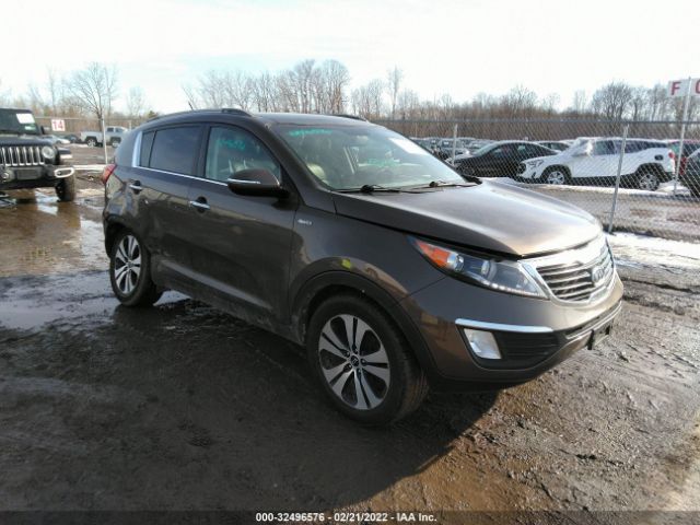 KIA SPORTAGE 2011 kndpcca2xb7081901