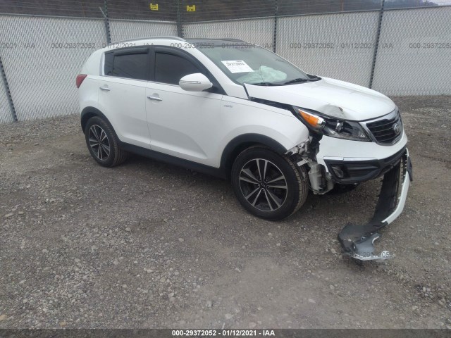 KIA SPORTAGE 2016 kndpcca64g7876095