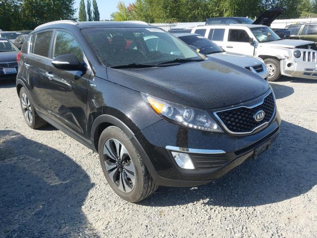 KIA SPORTAGE 2011 kndpcca68b7164021