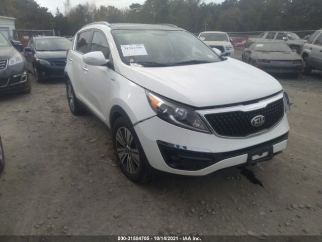 KIA SPORTAGE 2016 kndpccac0g7808723