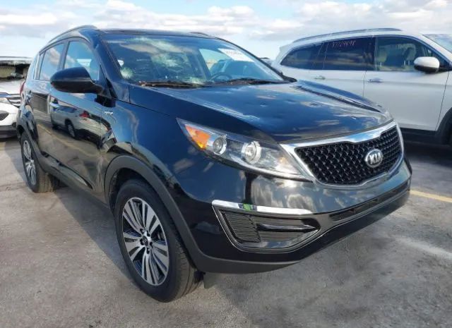 KIA SPORTAGE 2016 kndpccac1g7869353