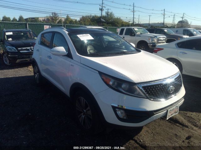 KIA SPORTAGE 2014 kndpccac4e7648133