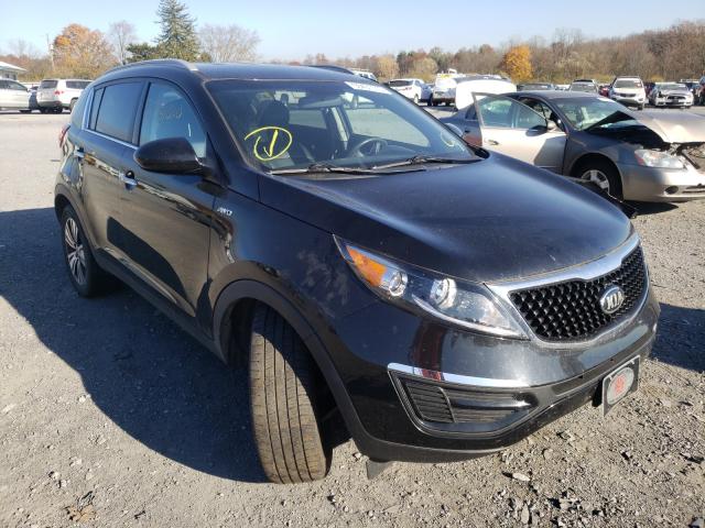 KIA SPORTAGE E 2016 kndpccac5g7849722