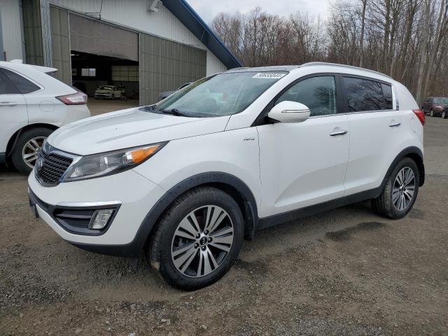 KIA SPORTAGE 2014 kndpccac6e7566565