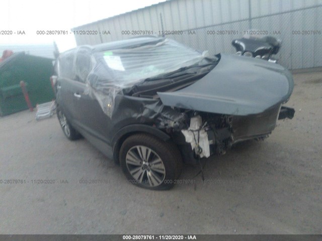 KIA SPORTAGE 2014 kndpccac6e7570163