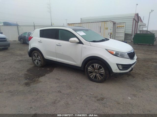 KIA SPORTAGE 2016 kndpccac6g7808614