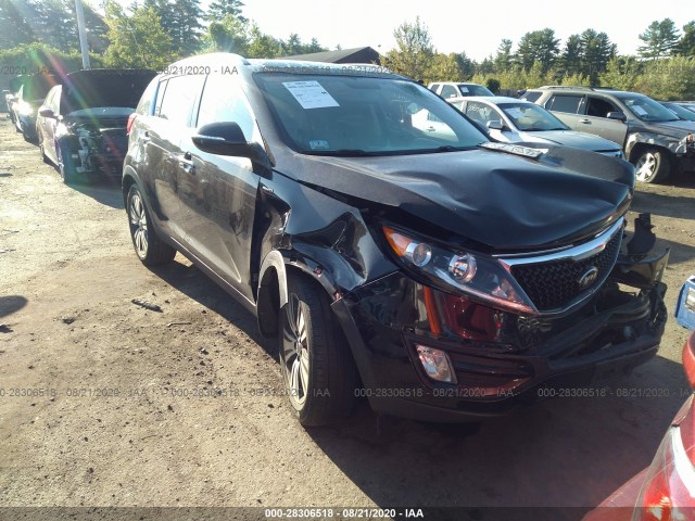 KIA SPORTAGE 2016 kndpccac6g7863323