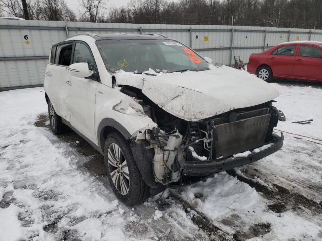 KIA SPORTAGE E 2015 kndpccac7f7766341