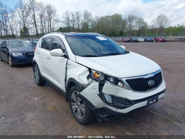 KIA SPORTAGE 2014 kndpccacxe7606338