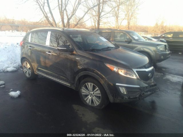 KIA SPORTAGE 2015 kndpccacxf7692705