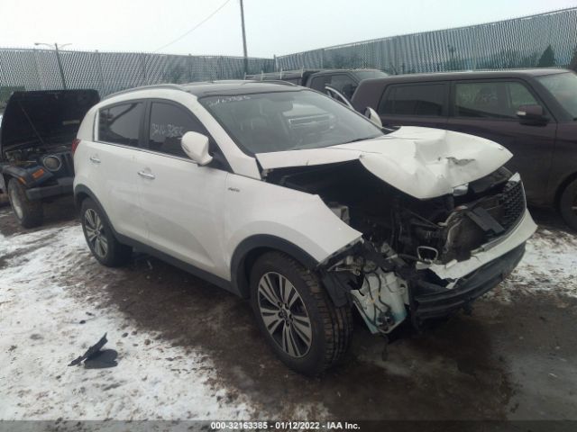 KIA SPORTAGE 2016 kndpccacxg7808664