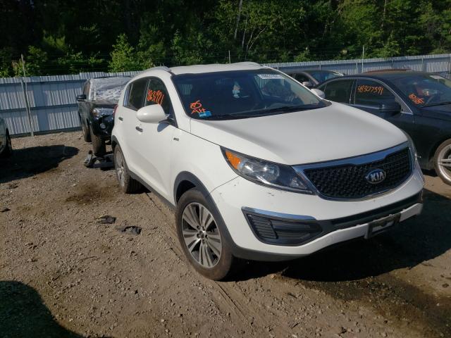 KIA SPORTAGE E 2016 kndpccacxg7826730