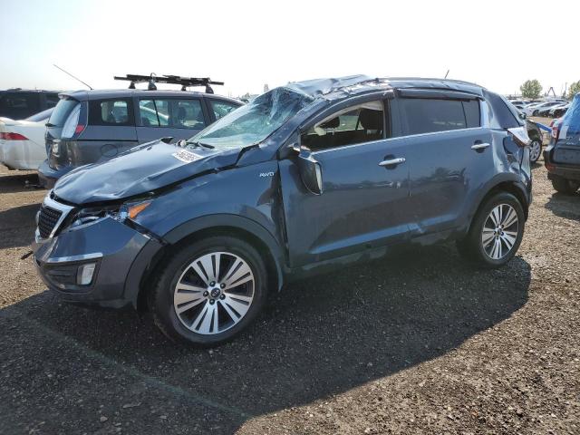 KIA SPORTAGE 2016 kndpccacxg7831569