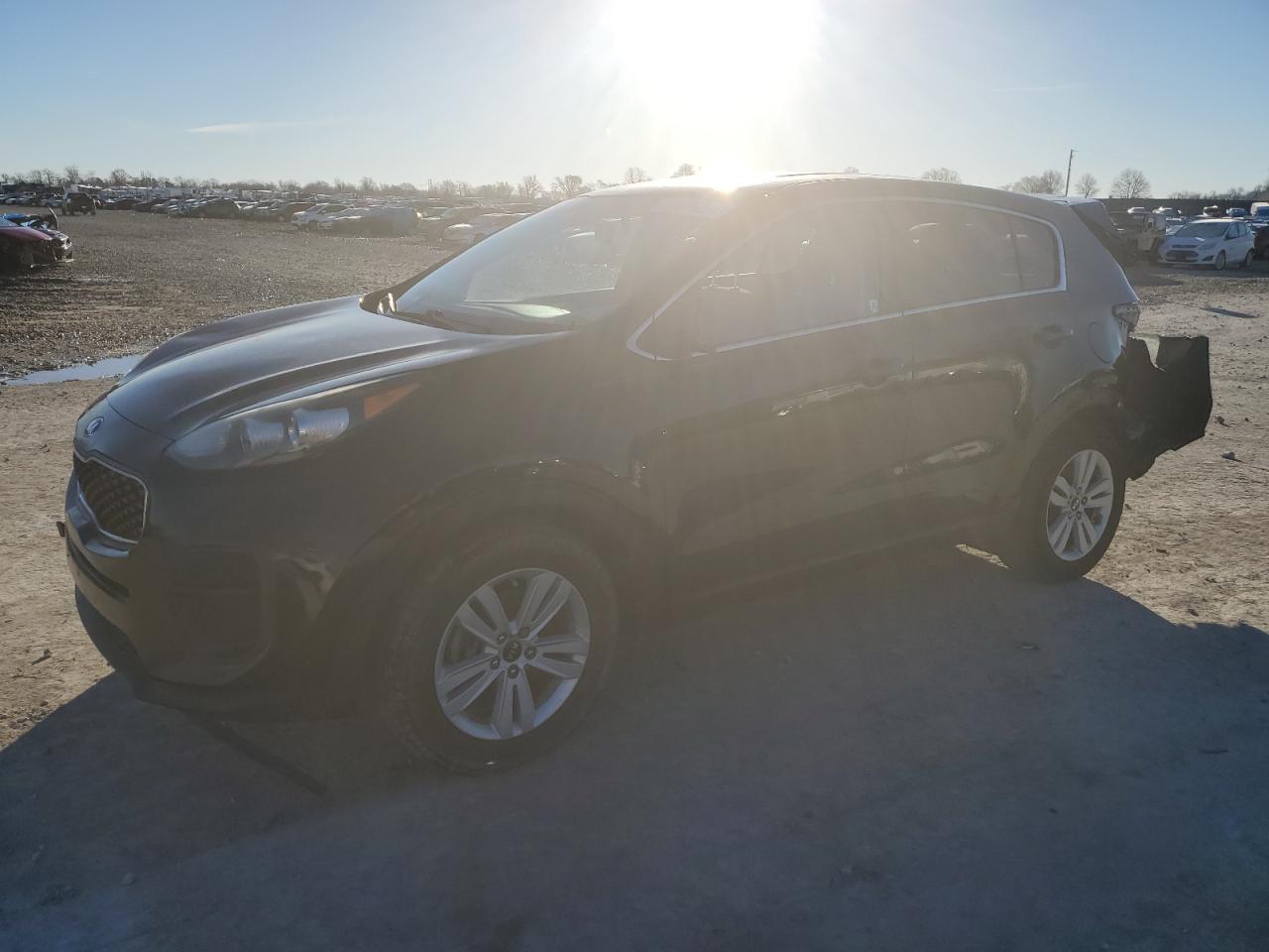 KIA SPORTAGE 2017 kndpm3ac0h7059873