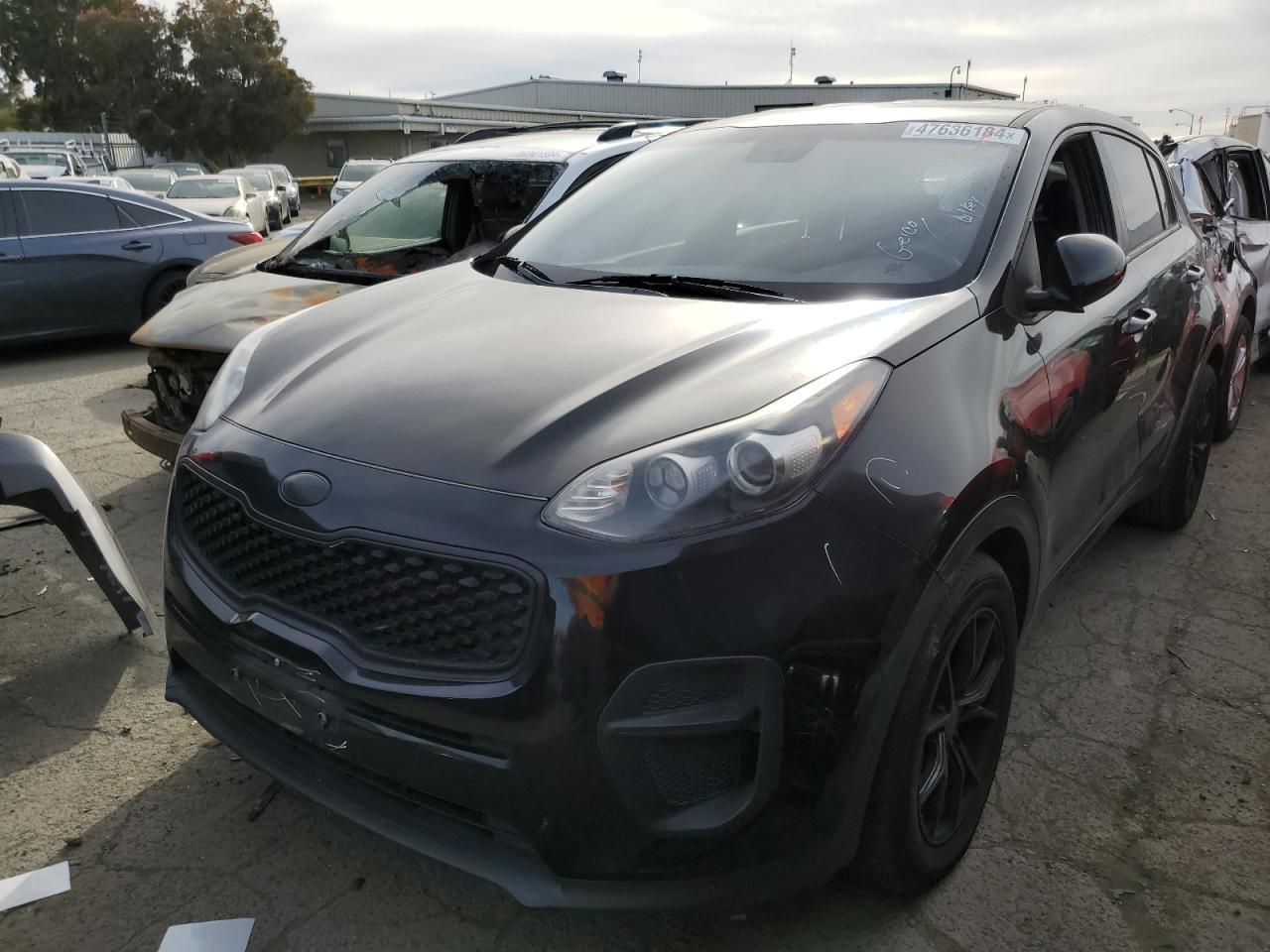 KIA SPORTAGE 2017 kndpm3ac1h7079145