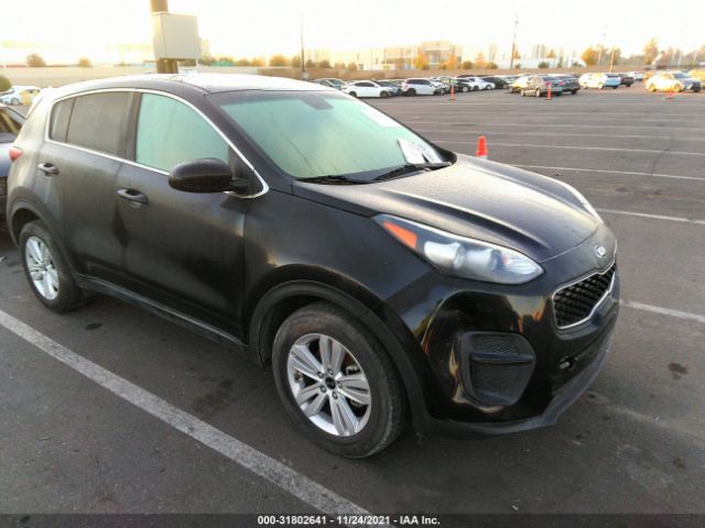 KIA SPORTAGE 2017 kndpm3ac1h7191699