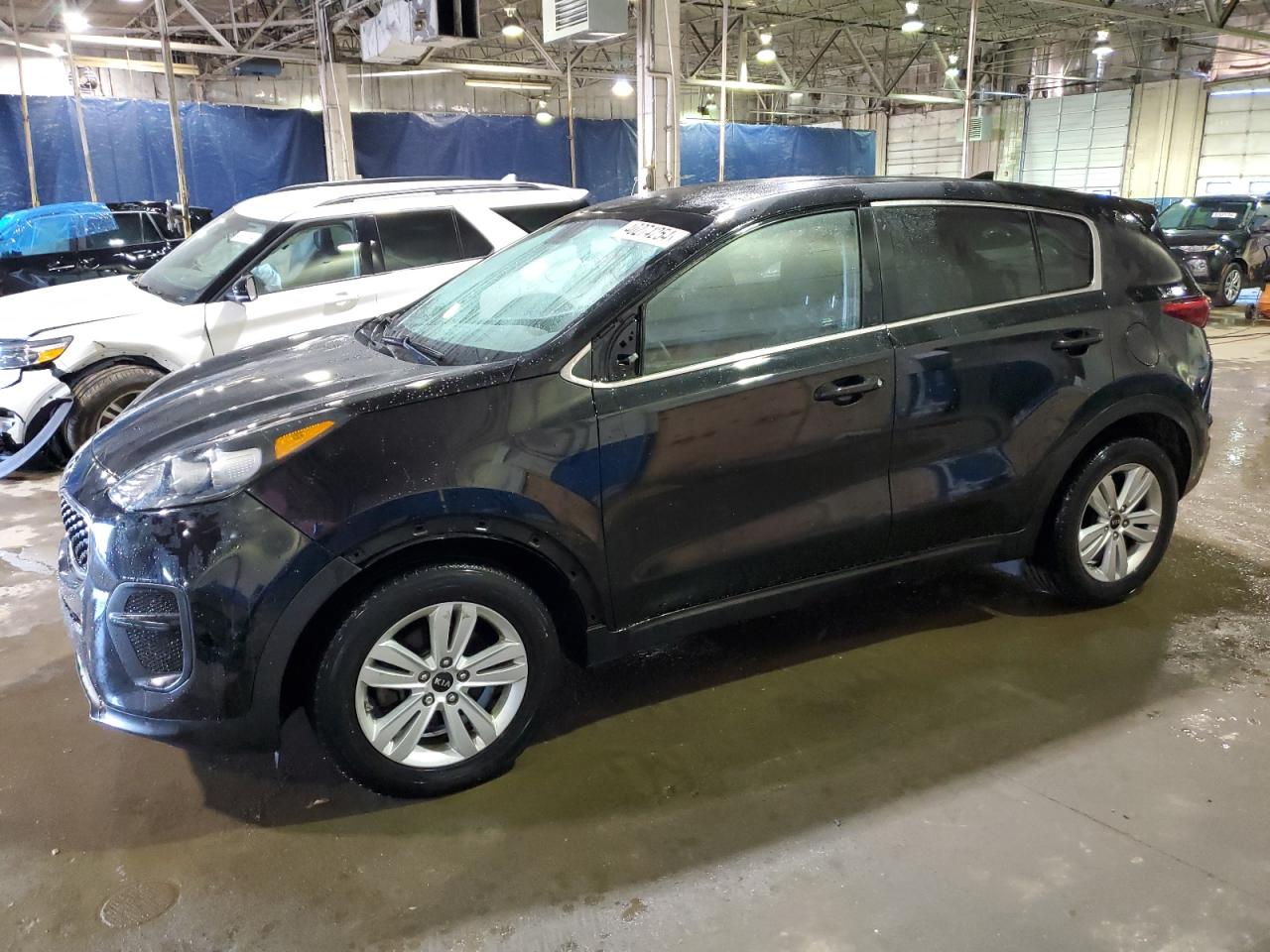 KIA SPORTAGE 2019 kndpm3ac1k7533420