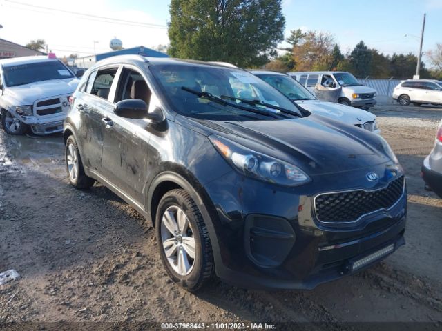 KIA SPORTAGE 2017 kndpm3ac2h7035798