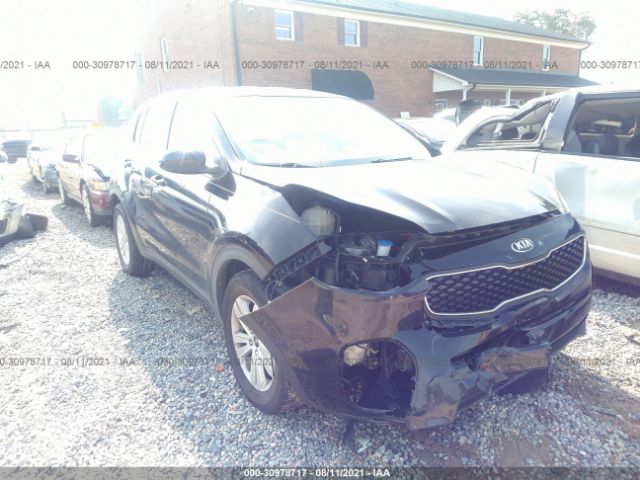 KIA SPORTAGE 2017 kndpm3ac3h7040668