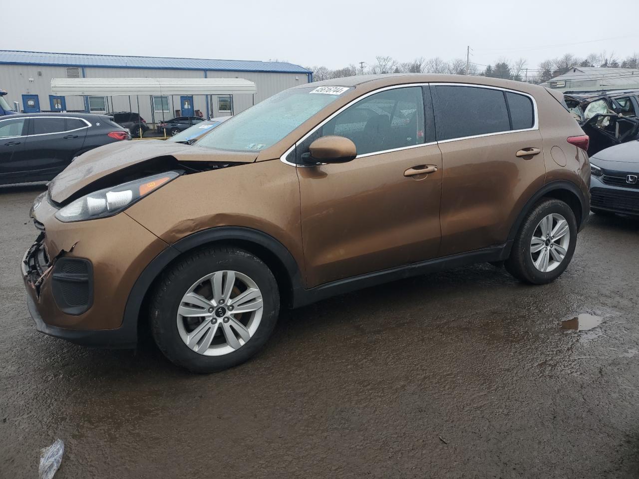 KIA SPORTAGE 2018 kndpm3ac3j7304848