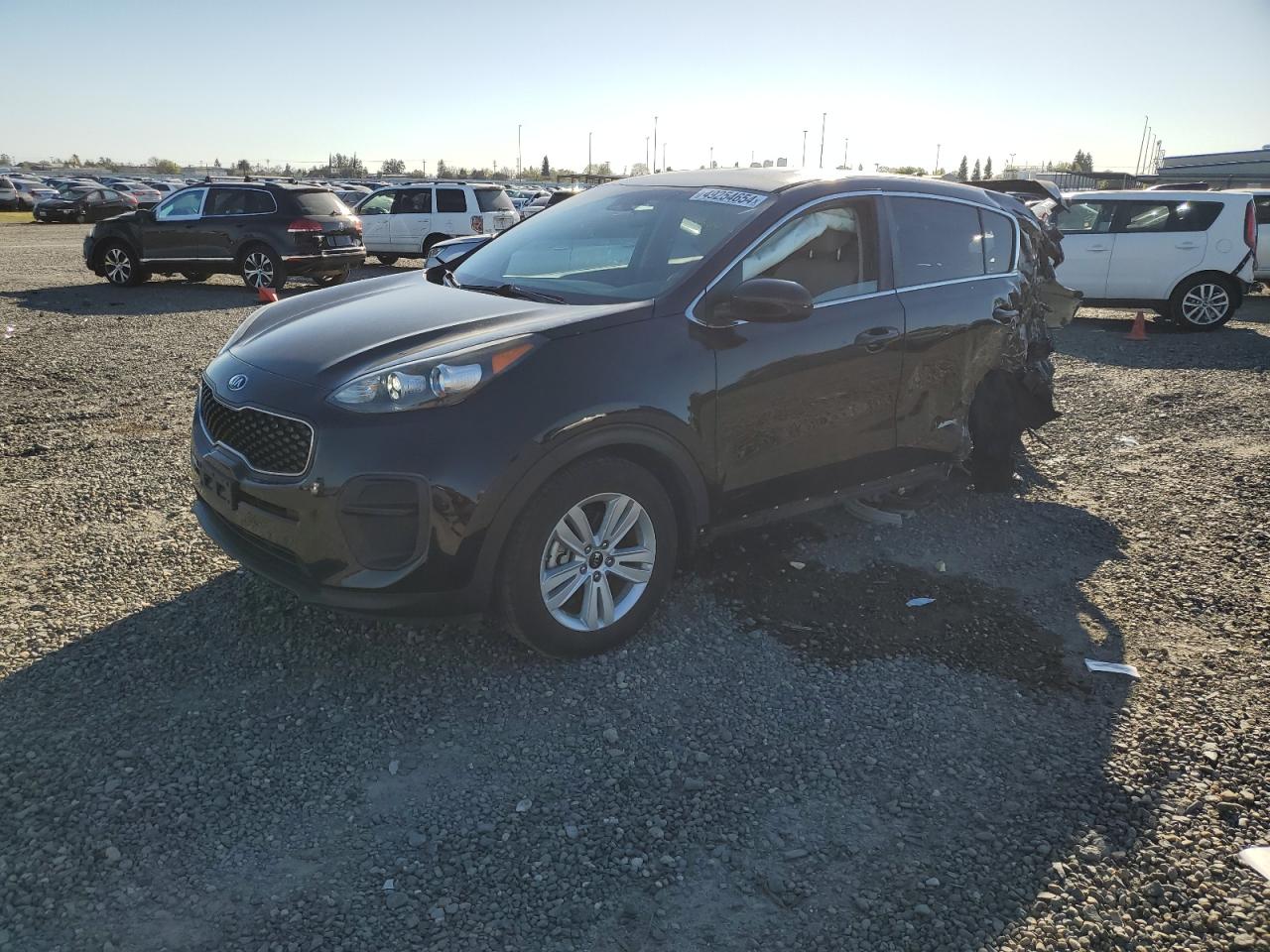 KIA SPORTAGE 2018 kndpm3ac3j7461697