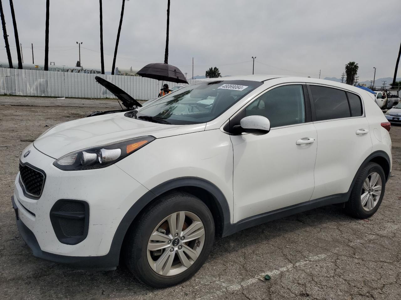 KIA SPORTAGE 2019 kndpm3ac3k7508664