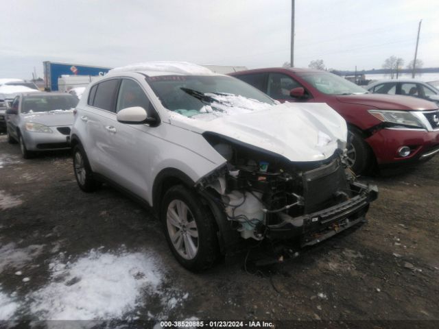 KIA SPORTAGE 2017 kndpm3ac4h7163914