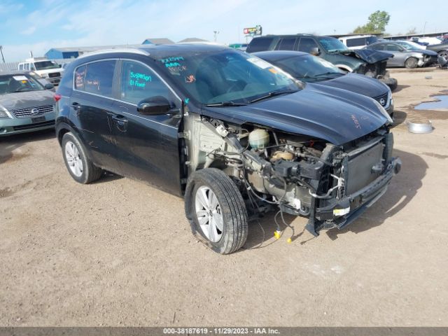 KIA SPORTAGE 2017 kndpm3ac4h7177652