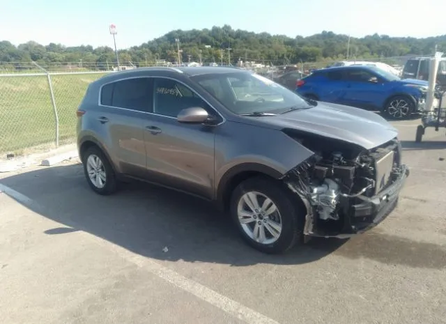 KIA SPORTAGE 2018 kndpm3ac4j7423346