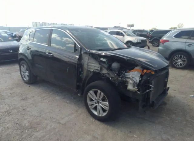 KIA SPORTAGE 2017 kndpm3ac5h7282068