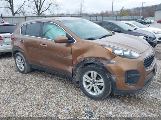 KIA SPORTAGE 2019 kndpm3ac5k7506947